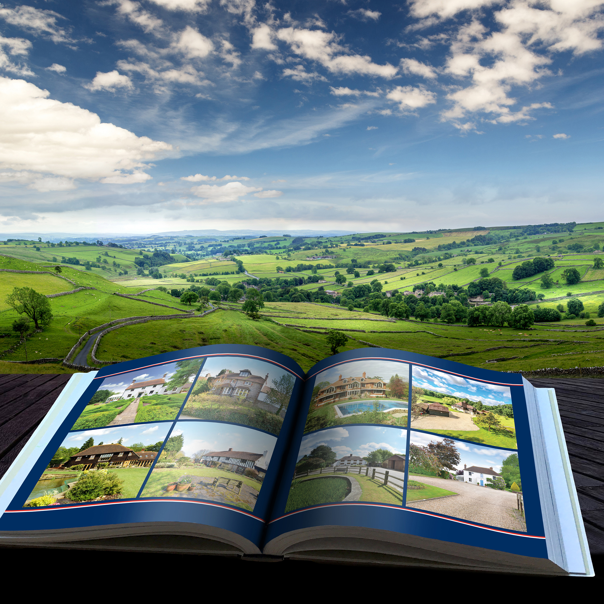 Equus Property Design Landscape